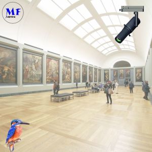 Beam Angle 25°~45° Shapable Track Light Ra>97 5 Years Warranty 4000K With Black