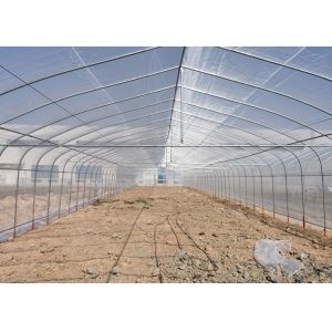 Small Scale Farming Single Span Greenhouse Customize Plastic Film Greenhouse