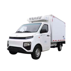 Geely Energy Refrigerated Delivery Van Engine Capacity 4L Small Refrigerated