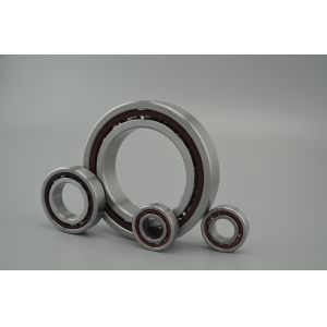 Single Row Angular Contact Ball Bearing HS719 HS719/HQ1 HS70 HS70/HQ1 Series
