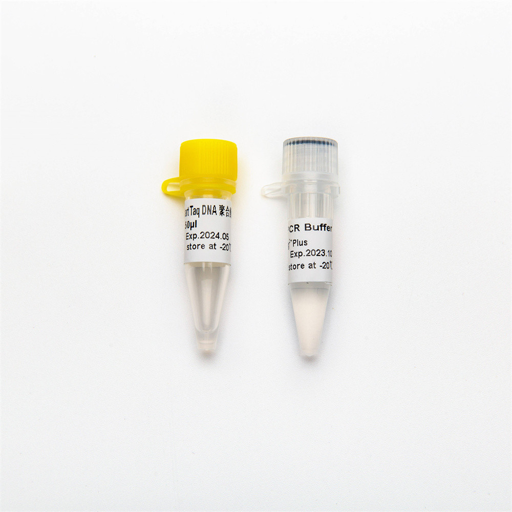 QPCR Hotstart Taq DNA Polymerase RT-PCR Enzyme P1101