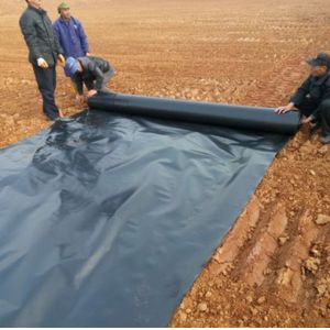 Modern Design Black HDPE Smooth Geomembrane 0.5mm 1mm for Landfill Sites and