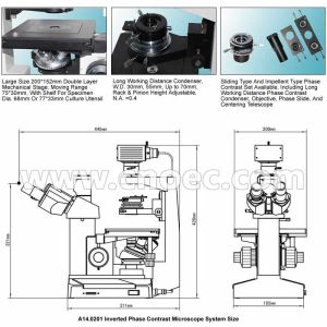 Trinocular Inverted Phase Contrast Microscope Inverted Optical Microscope CE A14