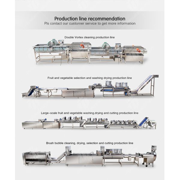 Fruit Orange Leaves Vegetables sward beans Herbs Fruiting vegetables Wash Washer Washing Cleaning processing production Double cylinder fruit and