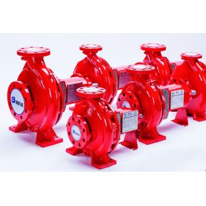 400GPM Flow End Suction Fire Pump Systems 2980 Rpm for Fire Safety