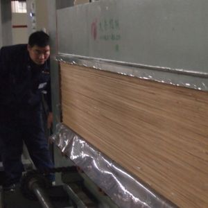 Reconstituted Decorative Natural Ash Wood Veneer WA-X806 Fineline Grain