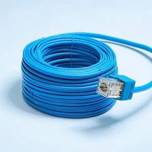 Wholesale Bulk CAT5E FTP Blue PVC Ethernet Cable for Large-Scale Network