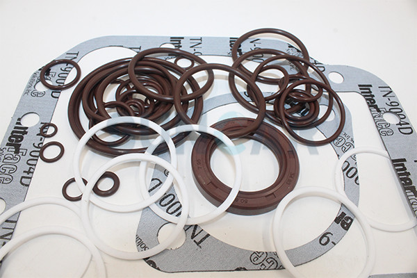 ZBXLB-12G Main Pump Seal Kit Fit C-A-T 12G