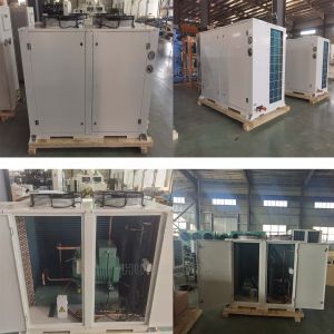 Large Size Quick Insulated Cold Room Chiller and Freezer Room for Large Storage