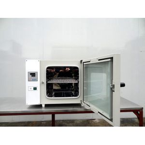 Lab Drying Oven Environmental Test Chamber Vacuum Drying Equipment