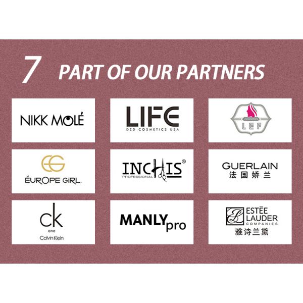 131A017210 Sleek Red Wooden Handle 10pcs Makeup Brush Set Private Logo