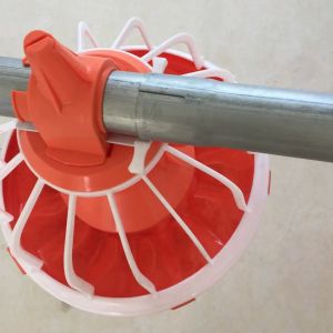 Automatic feeding pan system poultry feed pan cheap modern style