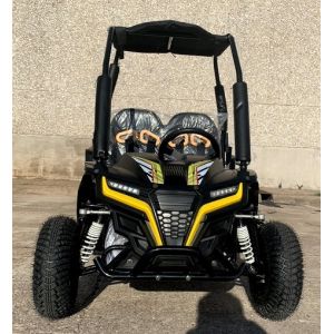 200cc Mini Go Kart Buggy Fully Automatic With Reverse