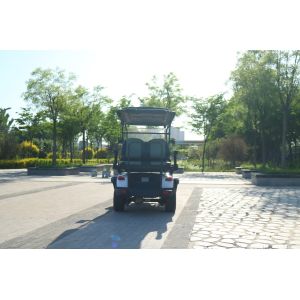 High End Luxury Electric Golf Cart With Customizable Colors For Beach Snow