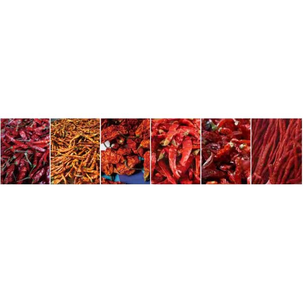 Efficient Hot Pepper Drying System with Automatic Chili Dryer Machine Hot Air Circulation
