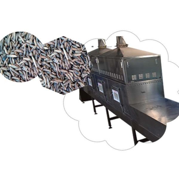 Tunnel THot Recycling And Circulatory System Black Soldier Fly Larvae Microwave