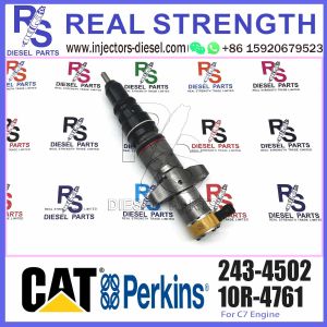 For C7 C9 engine Diesel Engine spare parts fuel injector 2434502 243-4502