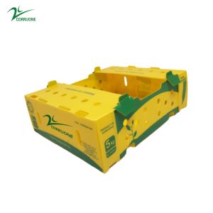 China Corflute Okra Fruit Corrugated Boxes PP Corrugated Plastic Case on sale