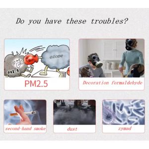 Portable Ozone Generator Deodorizer O3 Ionizer 100W