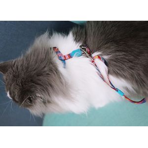 Adjustable Escape Proof Cat Lead And Harness Soft Breathable