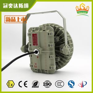 Bracket Mount Explosion Proof LED High Bay Light ATEX IECEx CNEX Certified IP66
