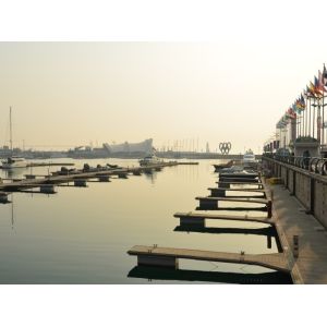 Wholesale WPC Construction with Hardwood Flooring and Soild Board from china suppliers