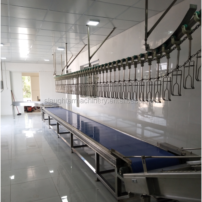 1000BPH Semi Automatic complete chicken quail goose duck Poultry Processing line Equipment for sale