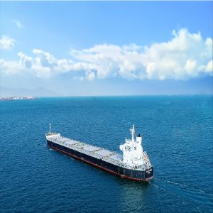 A Class International Sea Freight Forwarding DDP From China To Mexico