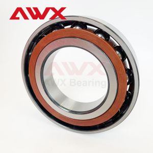 Precision 15 Degree Angular Ball Bearing 250 Hours Bearing Life