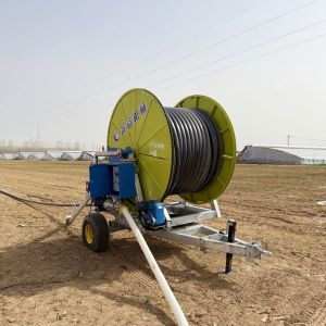 China Intelligent Hose Reel Irrigation System for Efficient Field Irrigation on sale