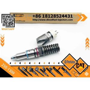 Inyectores Common Rail Diesel Fuel Injector 2501309 250-1309 10R3258 10R-3258