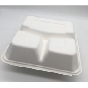 Wholesale Bento Petroleum Free 8''×8'' Biodegradable Take Out Boxes from china suppliers