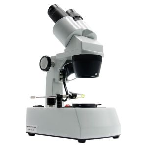 Wholesale ​Gemology Microscope With F19 binocular lens 20X and 40X two magnification option from china suppliers