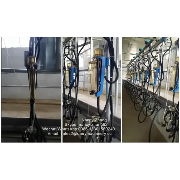 Flow Milk Meter Herringbone Milking Parlor System with ACR Automatic Cluster Remover and Waikato Milk Meter for Cows