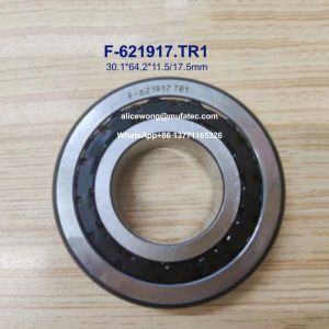 Wholesale F-621917.TR1 Automotive Bearings Taper Roller Bearings With Nylon Cage 30.1x64.2x11.5/17.5mm from china suppliers