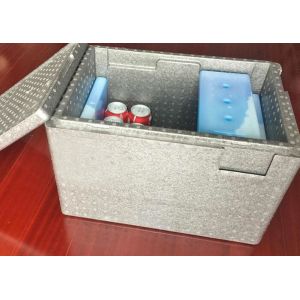 Expanded Polypropylene Cold Chain Packaging Solutions 17"X11"X10"