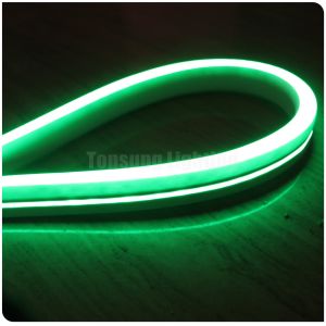 Mini led Flex neon 12V for bridge architecture swimming pool light flat 11x19mm