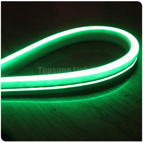 Mini led Flex neon 12V for bridge architecture swimming pool light flat 11x19mm