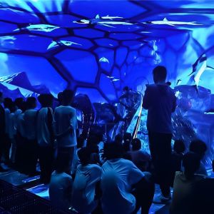 3d Hd Immersive Viewing Led Display Screen Hanging Glass Hologram Cinema