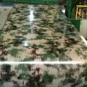 Decoration CGCH Printing PPGI Color Coated Sheets 800mm