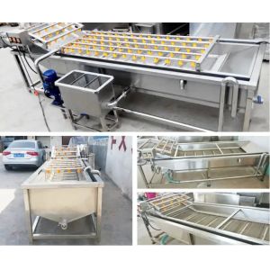 3000W Fruit Vegetable Washing Machine Fully Automatic Multi Functional