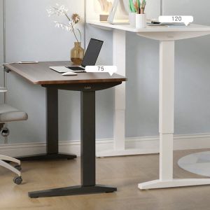 Double Motor Electric Up Lift Desk Customized Leisure Sit and Stand Up Office