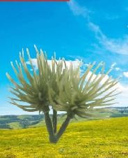 Wholesale fake Thorn ball,model tree,miniature artifical tree arm,acanthosphere,fake tree truck,landscape tree arms from china suppliers