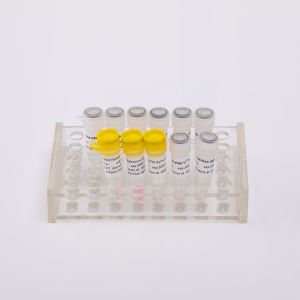 V5001 One Step RNA Rt qPCR Master Mix with ROX