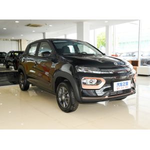 Top- Electric SUV Dongfeng EX1 Nano Box EV Car with Lithium Iron Phosphate