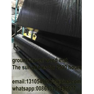 Wholesale Agricultural pp woven weed mat/weed barrier mat/all new material 70GSM 80GSM from china suppliers
