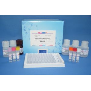 Ampicillin ELISA Test Kit 0.4ppb Sensitivity Quantitative Analysis For Milk