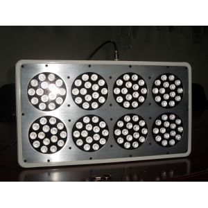 China Tomatos fruits harvest CIDLY LED growing light,Full band Spectrum Panel LED CIDLY LED 300w on sale