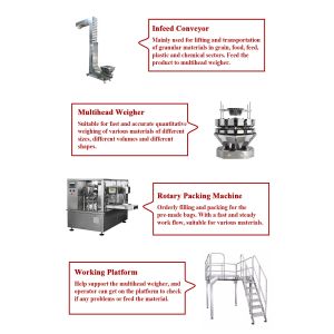 Zipper Bag Stand Up Pouch Laundry Detergent Packing Machine High Accuracy