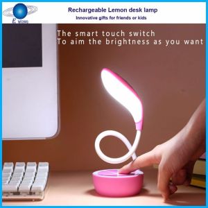 Smart control rechargeable usb charge portable floor lamps for living room